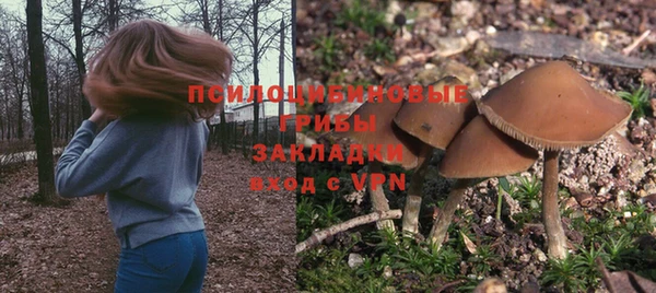 ALPHA PVP Алзамай