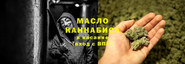 амф Алексин